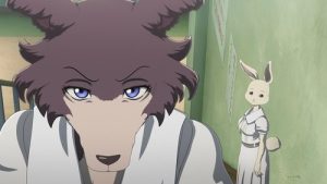 BEASTARS – O Lobo Bom: 1×12