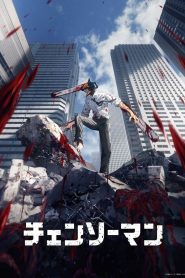 Chainsaw Man Dublado Temporada 1