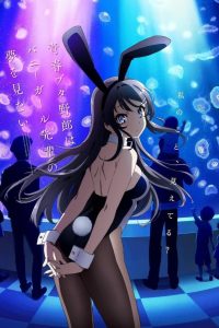 Seishun Buta Yarou Temporada 1
