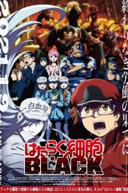 Hataraku Saibou Black Temporada 1