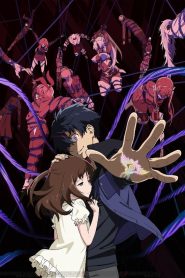 Big Order Temporada 1