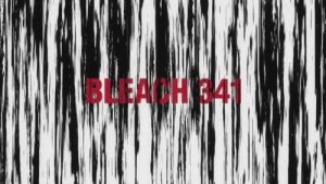 Bleach 1 Episodio 341