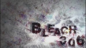 Bleach 1 Episodio 306