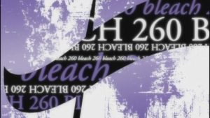 Bleach 1 Episodio 260