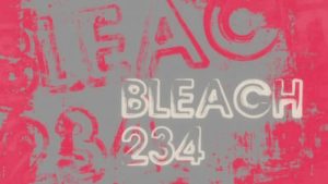 Bleach 1 Episodio 234