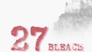 Bleach 1 Episodio 27