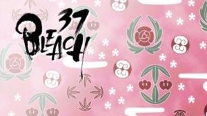 Bleach 1 Episodio 37