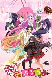 Cupids Chocolates Temporada 2