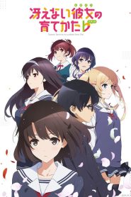 Saenai Heroine no Sodatekata Temporada 2