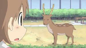 Nichijou – My Ordinary Life 1 Episodio 6