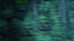 Initial D 4 Episodio 10
