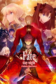 Fate/Stay Night: Unlimited Blade Works