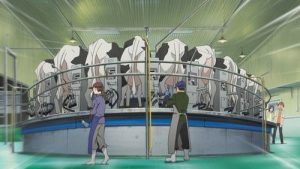Silver Spoon 1 Episodio 7