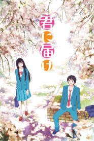 Kimi ni Todoke Temporada 1