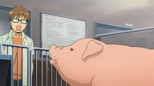 Silver Spoon 1 Episodio 9