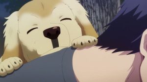 Hana-Kimi Episodio 1