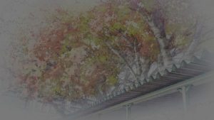 Hourou Musuko 1 Episodio 7