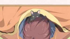 Minami-ke 2 Episodio 10
