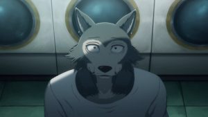 Beastars – O Lobo Bom Dublado 3 Episodio 18