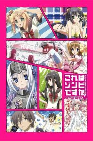Kore wa Zombie Desu ka? Temporada 2