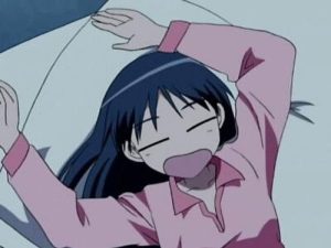 School Rumble 1 Episodio 17