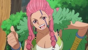 One Piece Episodio 1165