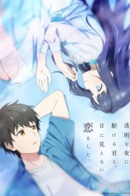 Toumei na Yoru ni Kakeru Kimi to, Me ni Mienai Koi wo Shita